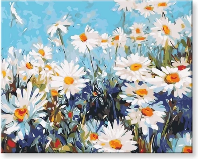 Norimpex Slikanje po številkah Marjetice 40 × 50 cm