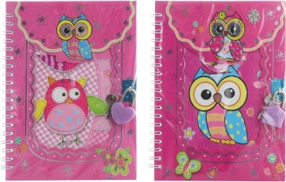 Owl-Themed Lockable Notebook