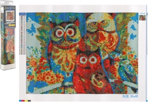 Diamantno slikanje Sove 30x40 cm