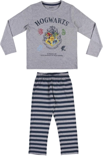 Motiv Hogwarts za ljubitelje Harryja Potterja