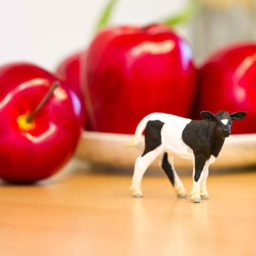 Ideal for farm play and education
