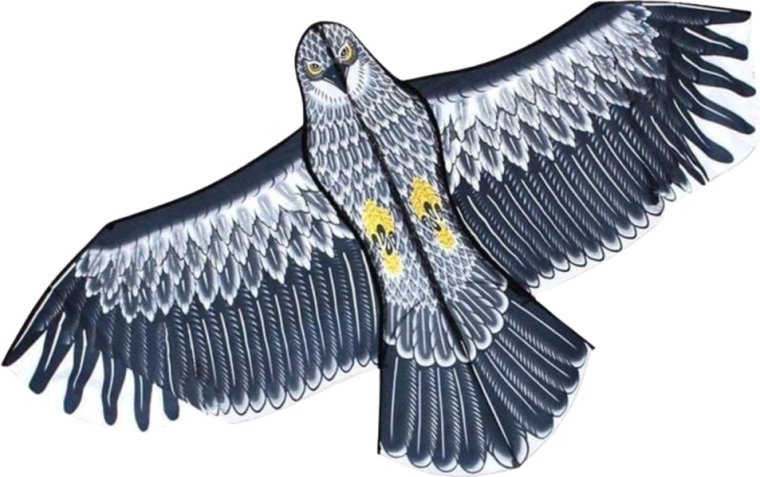 Stabilen let tudi za začetnike