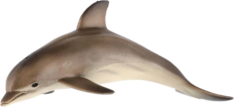 Za male raziskovalce oceanov