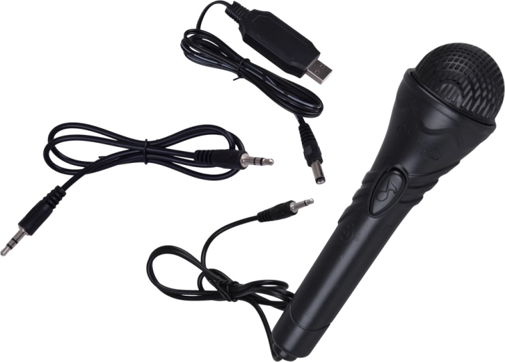 Karaoke in domači koncerti