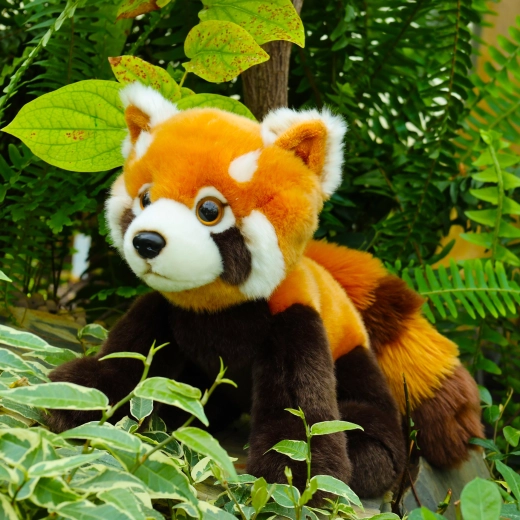 Realistične podrobnosti rdeče pande