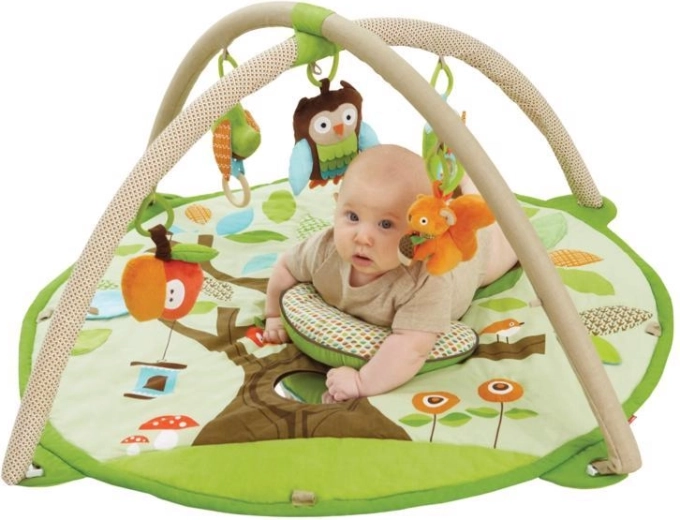 Soft activity mat and tummy-time pillow