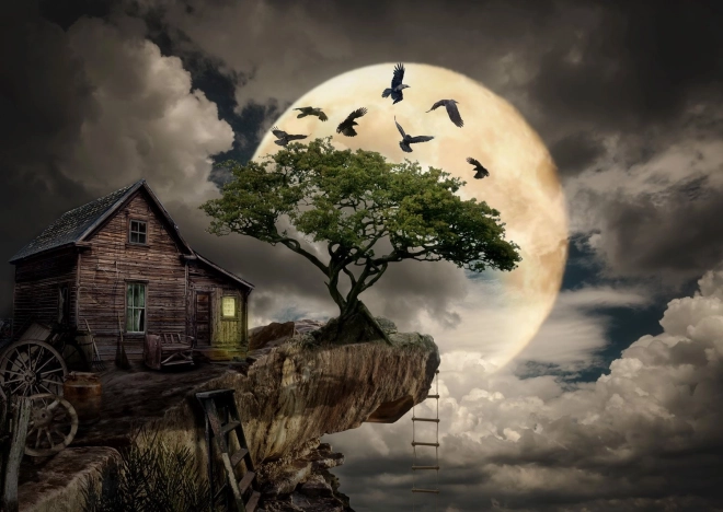 Sestavljanka ENJOY brunarica na pečini 1000 koščkov