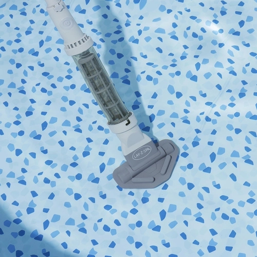 Swiveling suction head with brushes for thorough cleaning