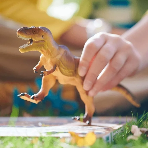 Augmented reality with the Dino Dana app