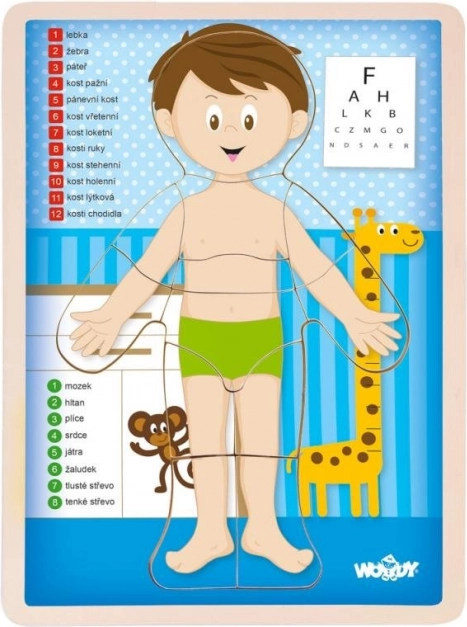 Woody obojestranska sestavljanka Človeško telo - deček