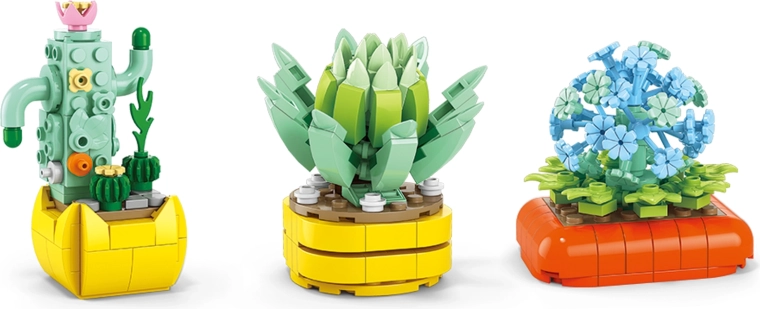 Kaktusi in sukulente brez nege