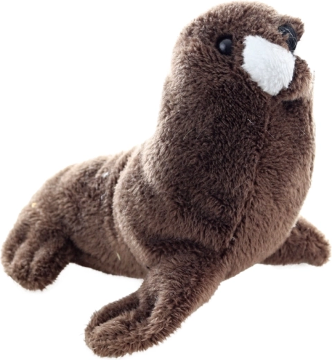 Idealna velikost 13 cm