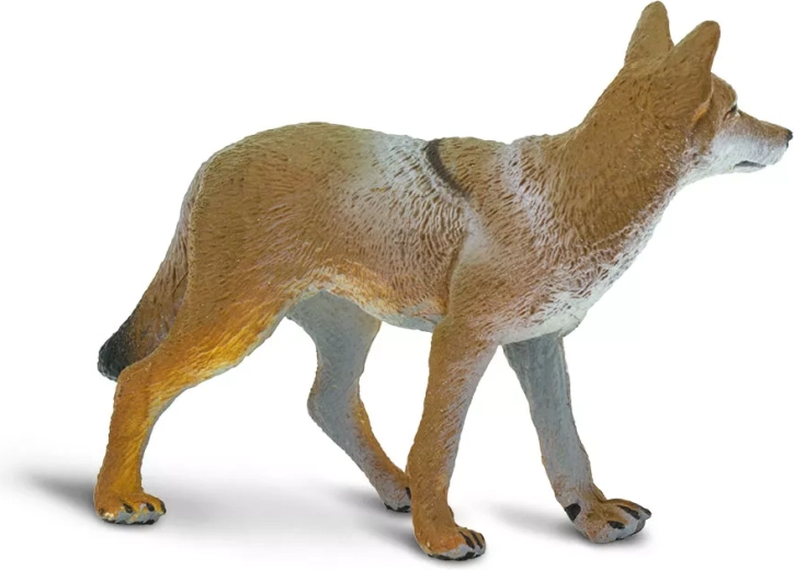 Faithful depiction of a coyote
