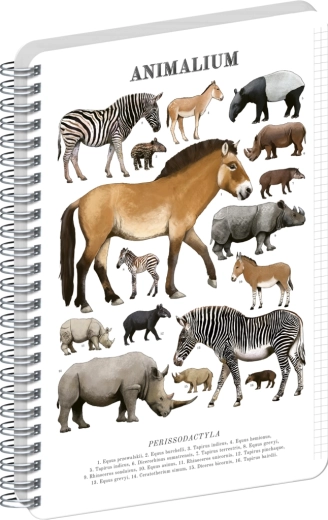 Notique spiralni blok Animalium – lihokopitarji, A4, karo