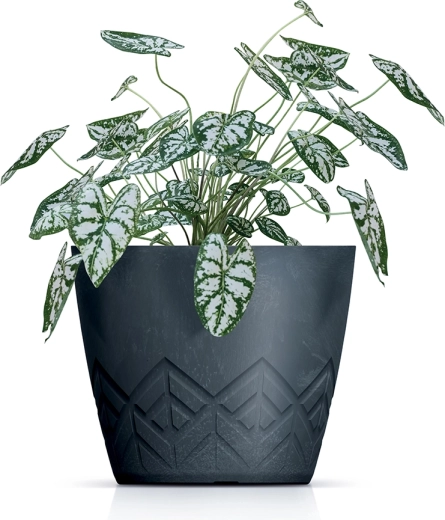 Stilski betonski učinek z reliefom