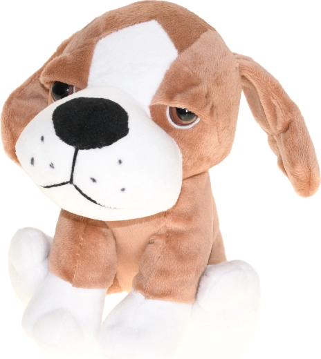 Prikupen spremljevalec na poti