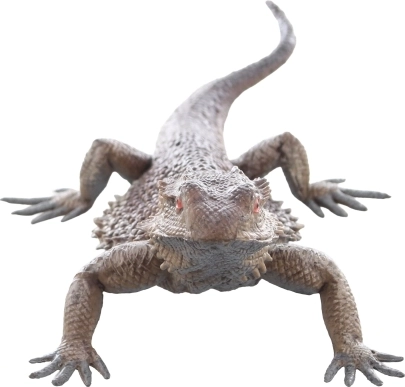 Varno in primerno za otroke od 3 let