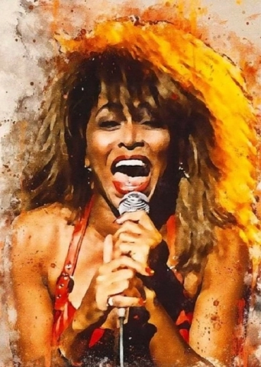 Norimpex Paint by Numbers Tina Turner Singing 40 × 50 cm