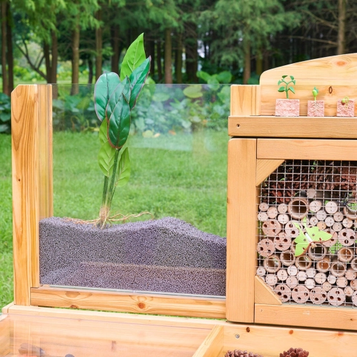 Koreninski panel: spremljajte rast rastlin v realnem času