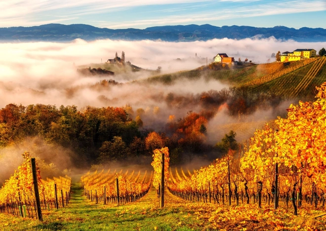 Enjoy puzzle V vinogradu 1000 koščkov