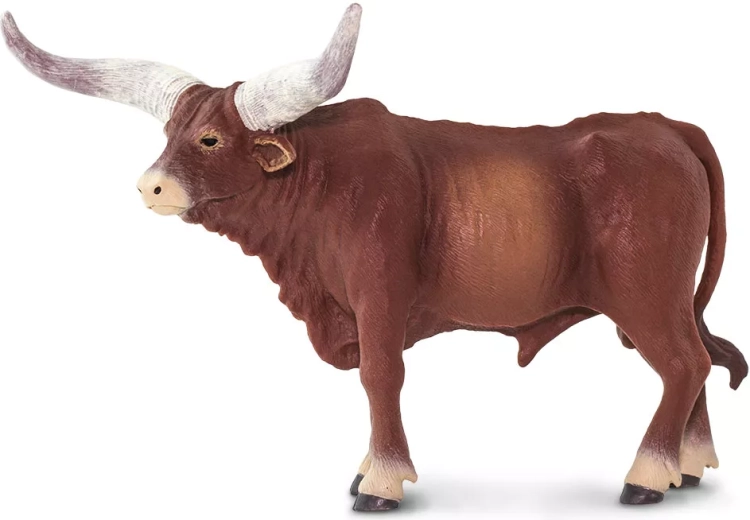 Typical Watusi horns in a realistic finish