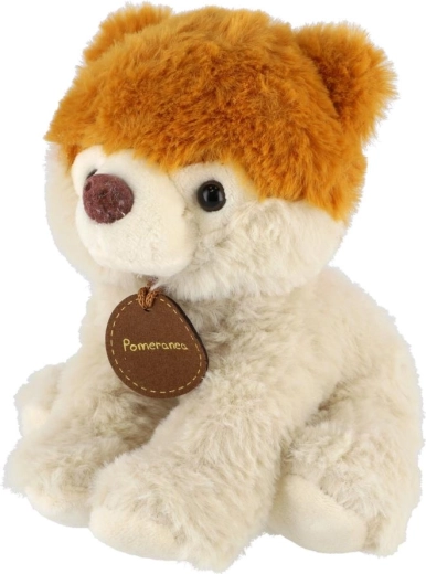 Raznolik miks vrst v pakiranju 10 kos