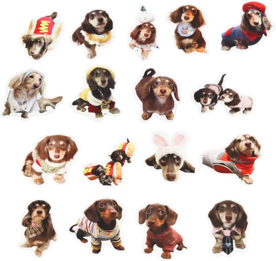 Idealna velikost 5 cm za dekoriranje