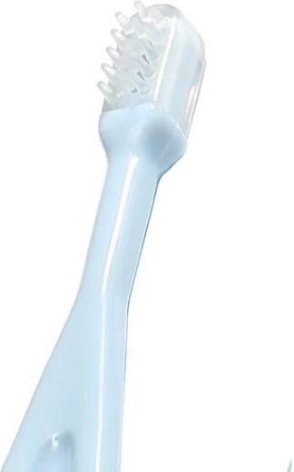 Prvi zobki na varnem