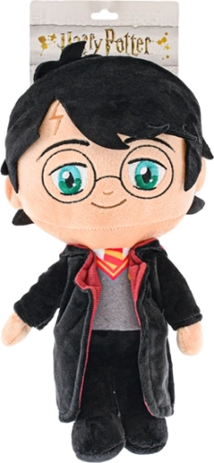 Ikonična podoba HARRY POTTER
