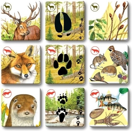 Vzdržljive kartice za pogosto igranje