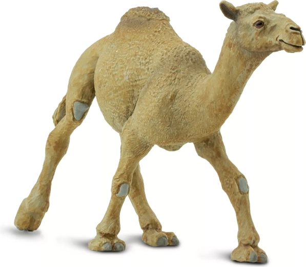 Safari Ltd. figurica enogrbe kamele – 1 kos
