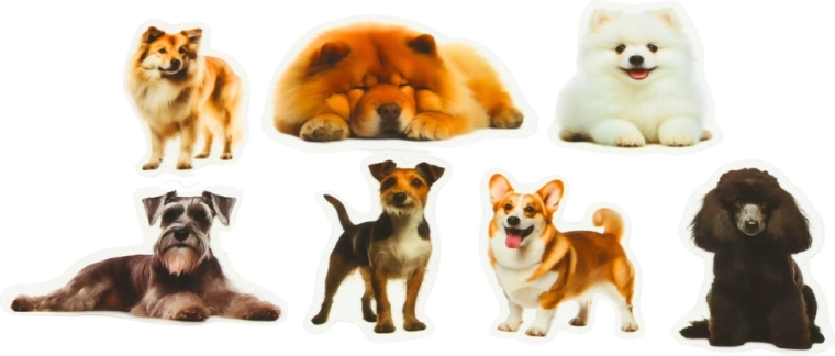 Prozorno ozadje za čist videz