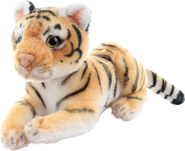 Realistic tiger coloring
