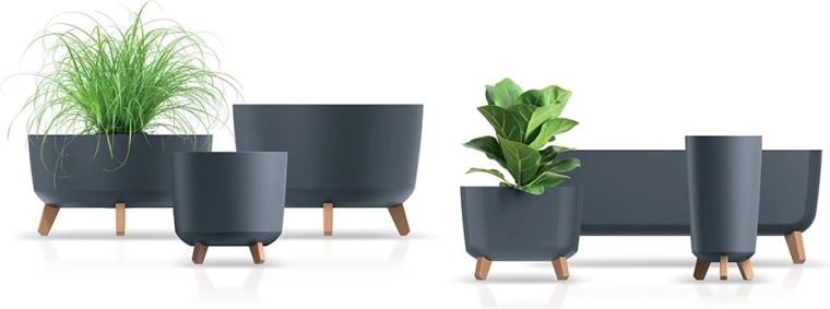 Boljši pogoji za korenine