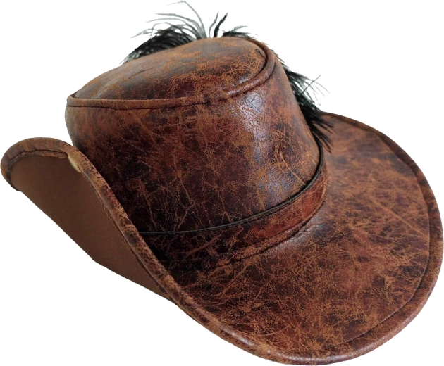 Western hat