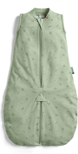 ErgoPouch 2-in-1 Sleep Suit Bag & Sleep Suit made from organic cotton, Willow, 0.2 TOG (3–12 months)