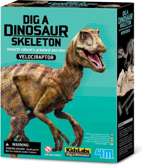 Izkopavalni komplet - Velociraptor