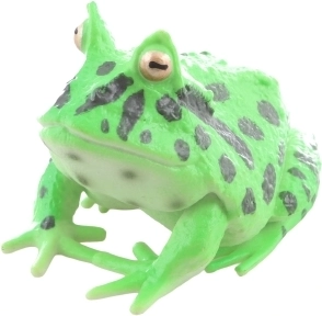 Izobraževalna in zabavna