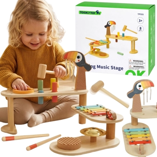 Tooky Toy izobraževalna glasbena mizica tukan