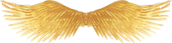Zlata angelska krila