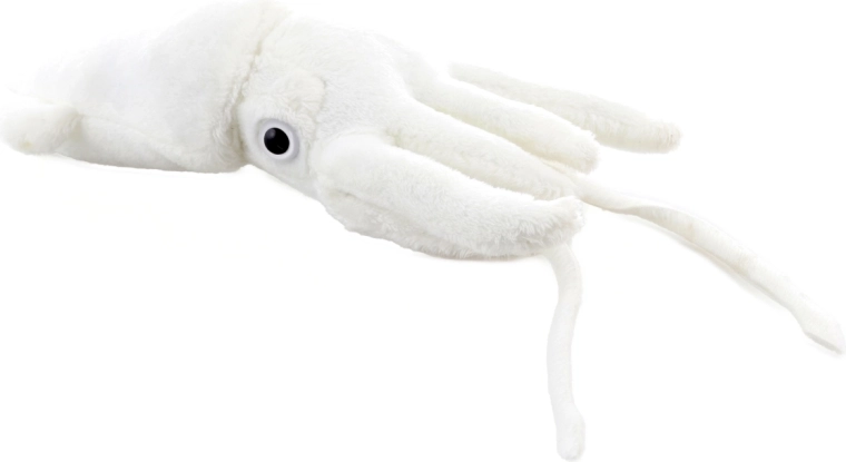 Realistična oblika z lovkami