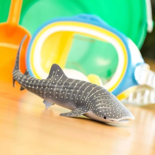 Learning through play about marine animals