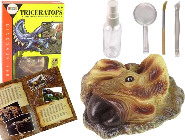 Izobraževalni komplet izkopanin Triceratops