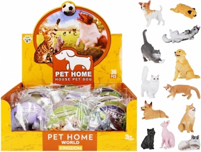 učne živali – psi in mačke s kartico in imenom vrste