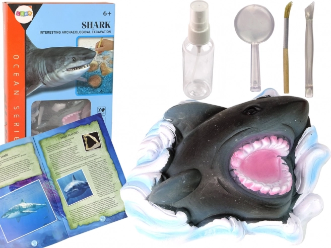 Izobraževalni set Raziskovanje oceana - Morski pes in trilobiti