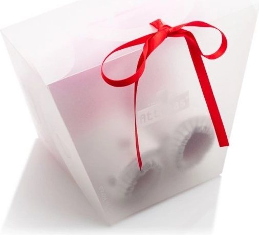 Lepo darilno pakiranje