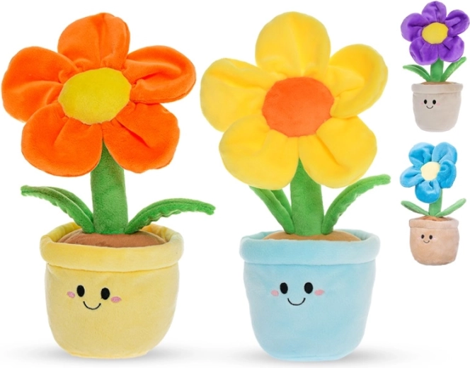 Varno od rojstva (0+)