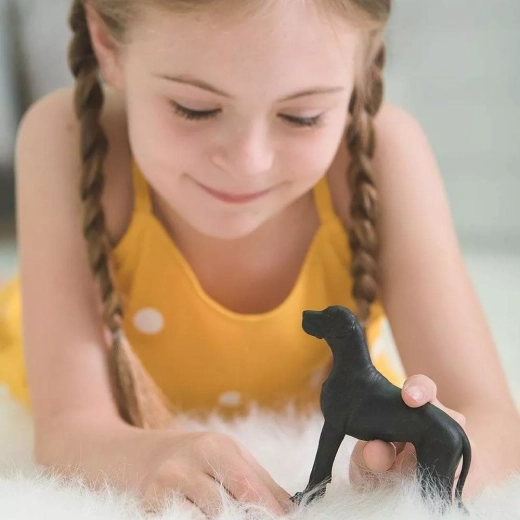 Supports creativity and learning through play