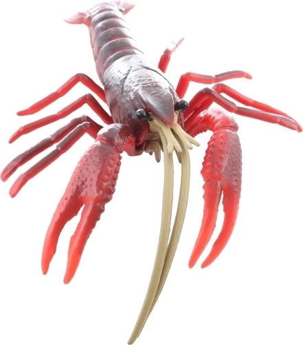 Idealna velikost za otroško roko