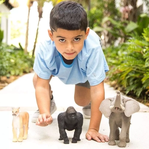 Supports learning about animals and nature